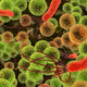 Image: Knorre/Shutterstock